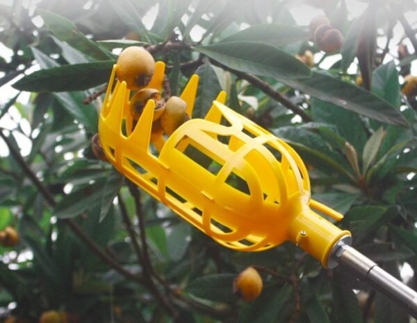Metal fruit picker Agricultural garden hardware tools Fruit picker / picking fruit tools - Image 5