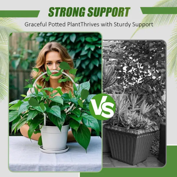 Acrylic Garden Small Trellis for Climbing Houseplant Potted Plants Support Sticks Indoor Outdoor Stakes - Image 4